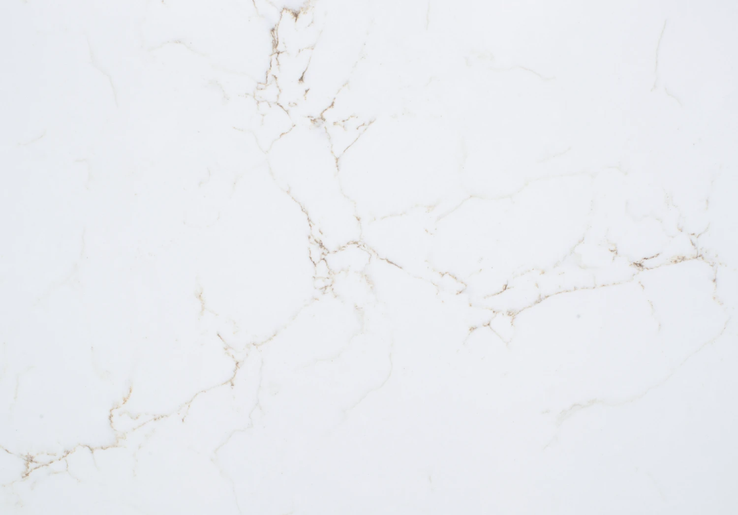 1801-asteria-gold-Closeup