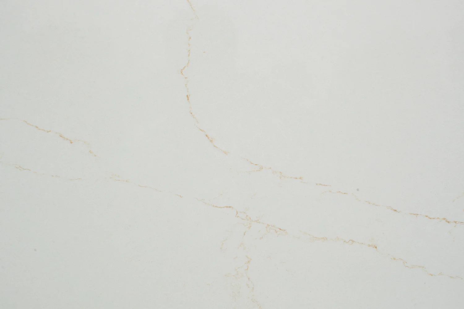 1808-aurelia-gold-Closeup